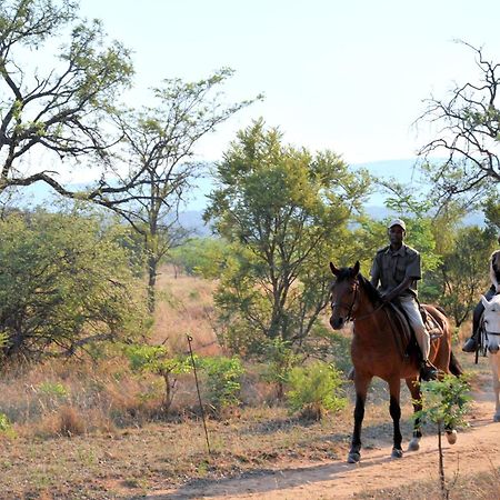 夸福贝斯帐篷野生动物园露营地 Mabula Game Reserve 外观 照片