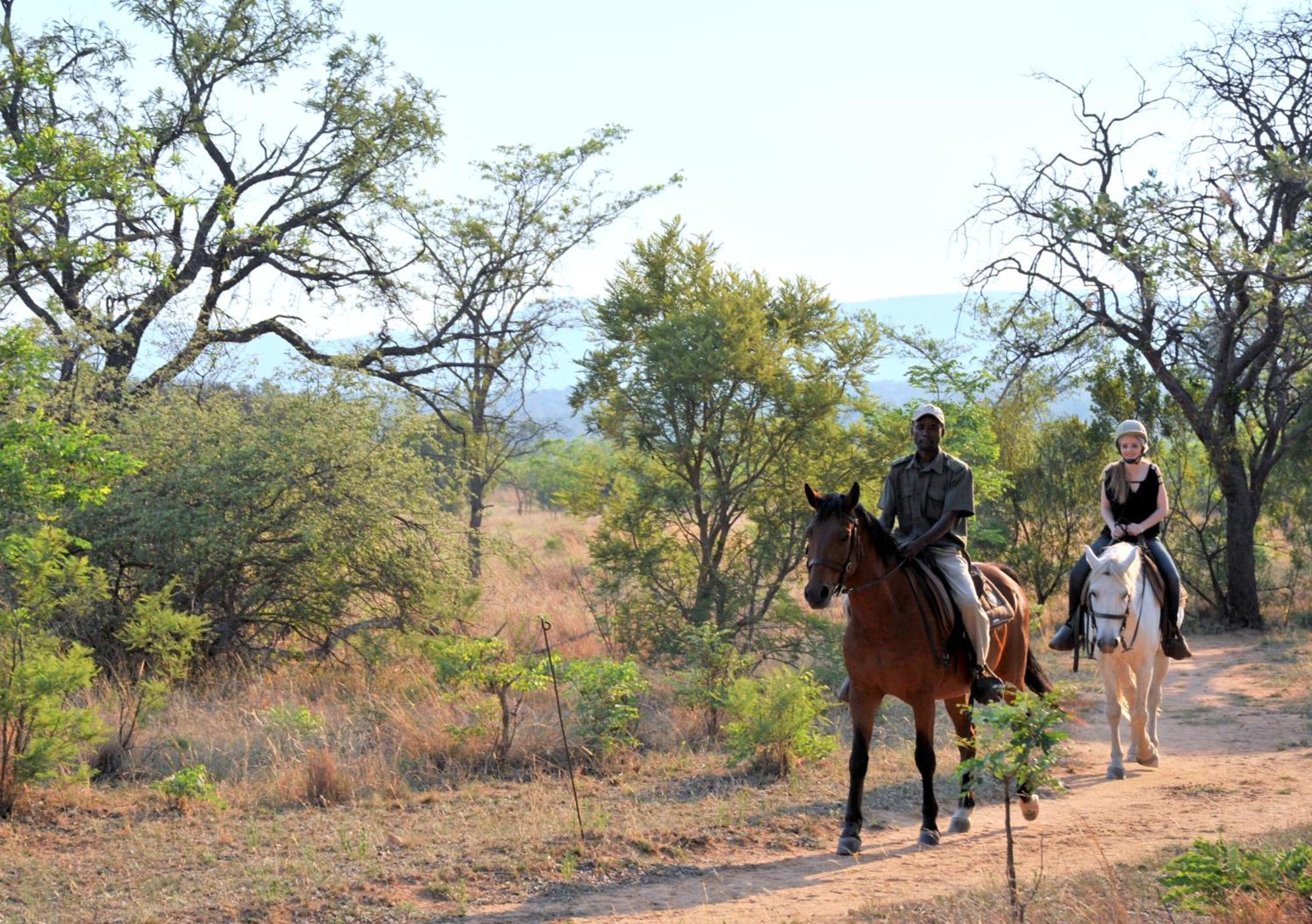 夸福贝斯帐篷野生动物园露营地 Mabula Game Reserve 外观 照片